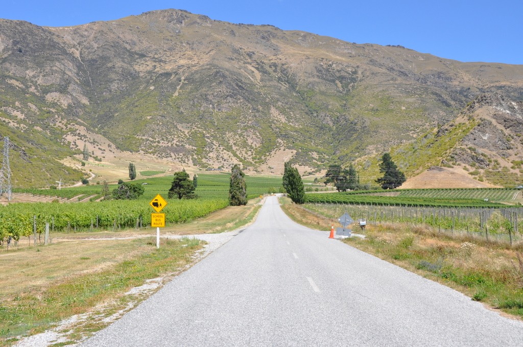 The Otago Peninsula is well known for its wineries.